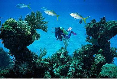 《Apex》大赛黑客事件小蓝熊EAC反作弊有漏洞？官方澄清